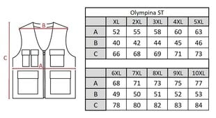 Vest meestele Olympina ST1 цена и информация | Мужские жилетки | kaup24.ee