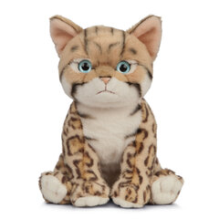 LIVING NATURE Плюшевая игрушка котенок бенгальской кошки, 16 см цена и информация | Игрушки для малышей | kaup24.ee