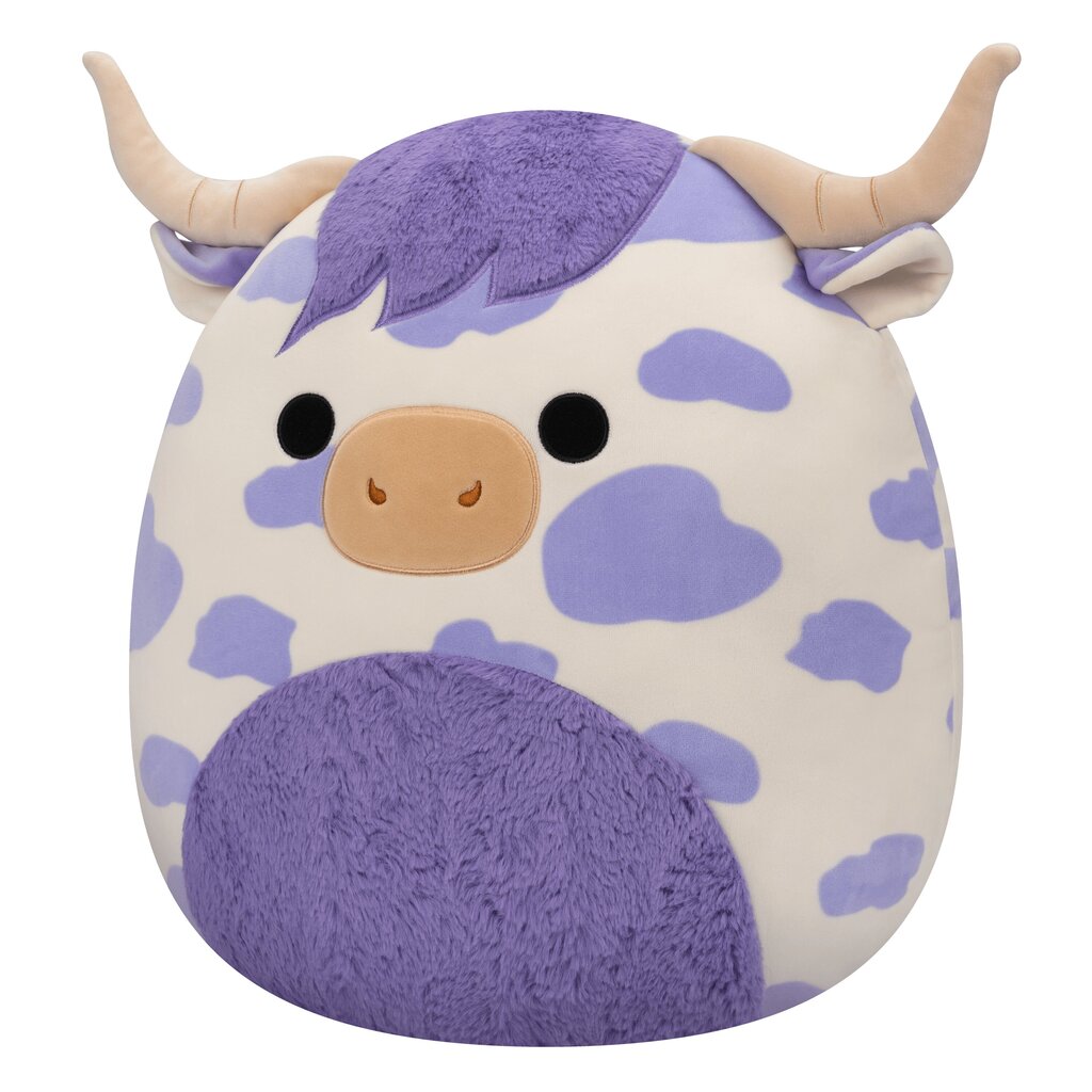 Pehme mänguasi Squishmallows W18 Conway, 40 cm цена и информация | Pehmed mänguasjad | kaup24.ee