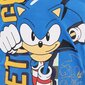Sonic the hedgehog laste pikkade varrukatega särk hind ja info | Poiste särgid | kaup24.ee