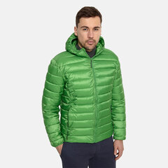 Мужская утепленная куртка Huppa весна-осень STEVO 2, зеленый цвет цена и информация | Мужские куртки | kaup24.ee