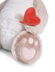 Pehme mänguasi kass Nici Love, 50 cm цена и информация | Мягкие игрушки | kaup24.ee