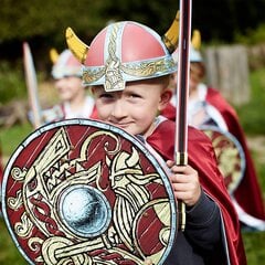 LION TOUCH Шлем викинга цена и информация | Игрушки для мальчиков | kaup24.ee