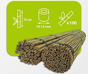 Bambuspulgad, 75 cm, 10-12 mm, 100 tk hind ja info | Vaasid, alused, redelid lilledele | kaup24.ee