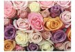 Fototapeet - Pastel roses цена и информация | Fototapeedid | kaup24.ee