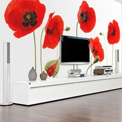 Fototapeet - Red poppies, summertime reminiscence hind ja info | Fototapeedid | kaup24.ee