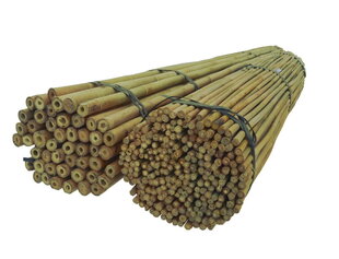 Бамбуковые палки 60 см, 10/12 мм / 100 шт. цена и информация | Подставки для цветов, держатели для вазонов | kaup24.ee