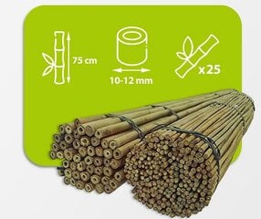 Bambuspulgad 75 cm 10/12 mm, 25 tk hind ja info | Vaasid, alused, redelid lilledele | kaup24.ee