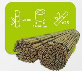 Bambuspulgad 120 cm 14/16 mm, 25 tk hind ja info | Vaasid, alused, redelid lilledele | kaup24.ee