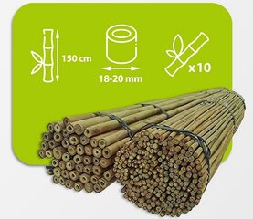 Bambuspulgad 150 cm 18/20 mm, 10 tk hind ja info | Vaasid, alused, redelid lilledele | kaup24.ee