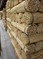 Bambuspulgad 150 cm 20/22 mm, 100 tk hind ja info | Vaasid, alused, redelid lilledele | kaup24.ee