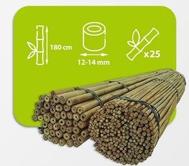 Bambuspulgad 180 cm 12/14 mm, 25 tk hind ja info | Vaasid, alused, redelid lilledele | kaup24.ee