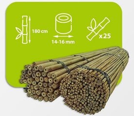 Bambuspulgad 180 cm 14/16 mm, 25 tk цена и информация | Подставки для цветов, держатели для вазонов | kaup24.ee