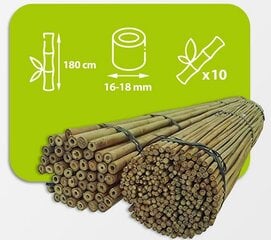Бамбуковые палки 180 см, 16/18 мм / 10 шт. цена и информация | Подставки для цветов, держатели для вазонов | kaup24.ee