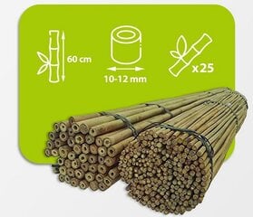 Bambuspulgad 60 cm 10/12 mm, 25 tk hind ja info | Vaasid, alused, redelid lilledele | kaup24.ee