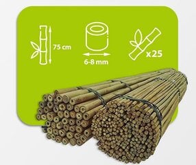 Bambuspulgad 75 cm 6/8 mm, 25 tk hind ja info | Vaasid, alused, redelid lilledele | kaup24.ee