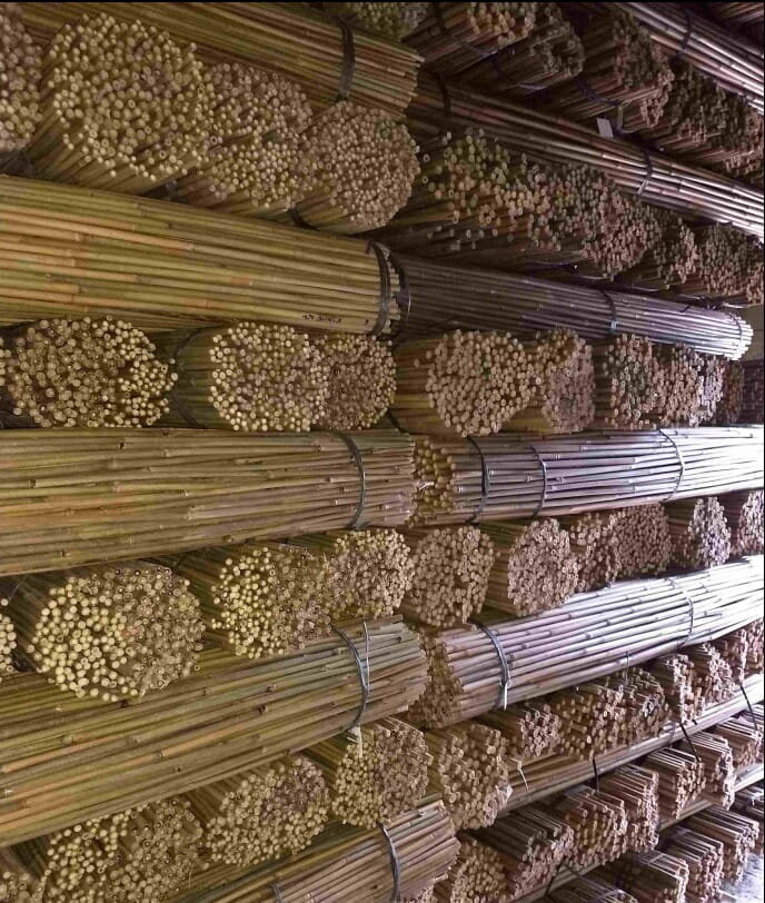 Bambuspulgad 150 cm 10/12 mm, 25 tk hind ja info | Vaasid, alused, redelid lilledele | kaup24.ee