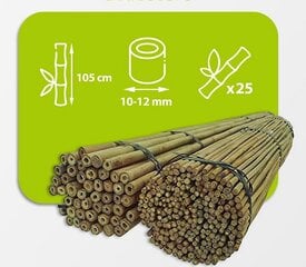 Бамбуковые палки 105 см, 10/12 мм / 25 шт. цена и информация | Подставки для цветов, держатели для вазонов | kaup24.ee