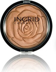 Бронзер Ingrid HD Beauty Innovation Bronzing, 25 г цена и информация | Бронзеры (бронзаторы), румяна | kaup24.ee