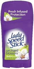 Дезодорант-карандаш Lady Speed ​​Stick Orchard Blossom, 45 г цена и информация | Дезодоранты | kaup24.ee