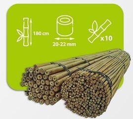 Бамбуковые палки 180 см 20/22 мм / 10 шт. цена и информация | Подставки для цветов, держатели для вазонов | kaup24.ee