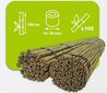 Bambuspulgad 180 cm 16/18 mm, 100 tk цена и информация | Vaasid, alused, redelid lilledele | kaup24.ee