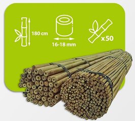 Бамбуковые палки 180 см 16/18 мм / 50 шт. цена и информация | Подставки для цветов, держатели для вазонов | kaup24.ee