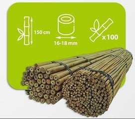 Bambuspulgad 150 cm 16/18 mm, 100 tk hind ja info | Vaasid, alused, redelid lilledele | kaup24.ee