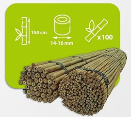 Bambuspulgad 150 cm 14/16 mm, 100 tk цена и информация | Подставки для цветов, держатели для вазонов | kaup24.ee