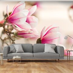 Fototapeet - Branch of magnolia tree цена и информация | Фотообои | kaup24.ee