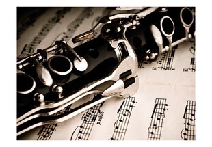 Fototapeet - Clarinet and music notes hind ja info | Fototapeedid | kaup24.ee