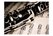 Fototapeet - Clarinet and music notes цена и информация | Fototapeedid | kaup24.ee