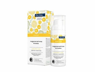 Восстанавливающий крем для лица Olival Immortelle Regenerative Special Care Cream, 50 мл цена и информация | Кремы для лица | kaup24.ee