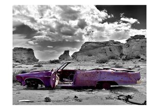 Fototapeet - Retro car on the Colorado Desert hind ja info | Fototapeedid | kaup24.ee