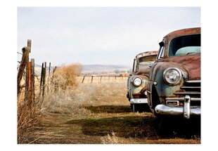 Fototapeet - Two old, American cars hind ja info | Fototapeedid | kaup24.ee