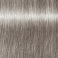 Juuksevärv Schwarzkopf Professional Igora Royal SilverWhite Dove Grey, 60 ml hind ja info | Juuksevärvid | kaup24.ee