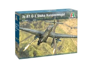 Italeri - Junkers Ju 87 G-1 Stuka Kanonenvogel, 1/48, 2830 цена и информация | Склеиваемые модели | kaup24.ee