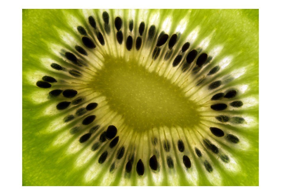 Fototapeet - fruits: kiwi цена и информация | Fototapeedid | kaup24.ee