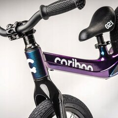Балансировочный велосипед Cariboo Magnesium Air 12" цена и информация | Детский трехколесный велосипед - коляска с удобной ручкой управления для родителей Riff F95941 2в1, фиолетовый | kaup24.ee