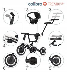 Балансировочный велосипед Colibro Tremix UP 8" цена и информация | Детский трехколесный велосипед - коляска с удобной ручкой управления для родителей Riff F95941 2в1, фиолетовый | kaup24.ee