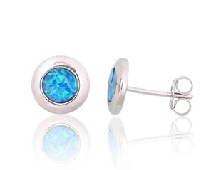 DiamondSky Moon Charm XIV hõbedased kõrvarõngad naistele DS02A831 цена и информация | Серьги | kaup24.ee