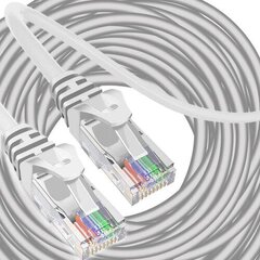 Сетевой кабель Izoxis, RJ-45, 30м цена и информация | Кабели и провода | kaup24.ee