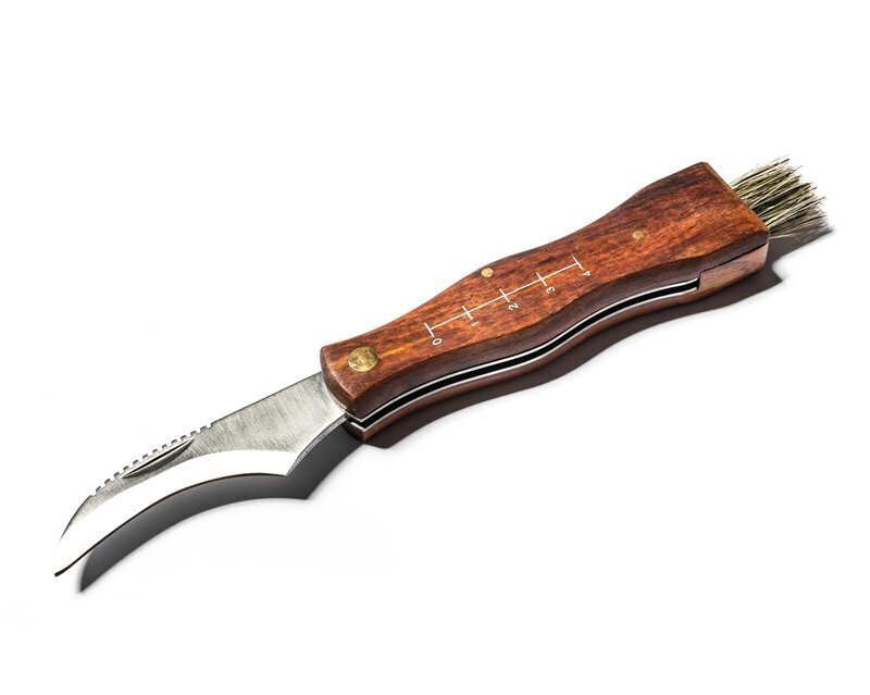 Seenekorjaja taskunuga nuga koos ümbrisega цена и информация | Taskunoad, multifunktsionaalsed tööriistad | kaup24.ee