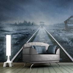 Fototapeet - The ghost train цена и информация | Фотообои | kaup24.ee