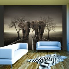 Fototapeet - City of elephants hind ja info | Fototapeedid | kaup24.ee