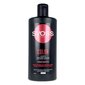 Šampoon Värvitud Juustele Color Tech Syoss (440 ml) hind ja info | Šampoonid | kaup24.ee