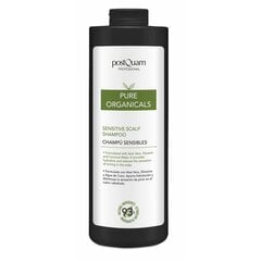 Шампунь Postquam Pure Organicals Sensitive Scalp цена и информация | Шампуни | kaup24.ee