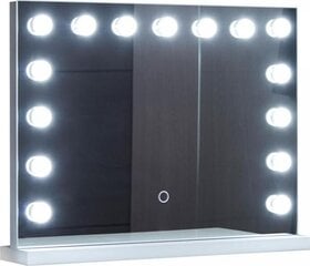 Meigipeegel, 15 LED valgustit, 3 valgusvarju 58x43 cm hind ja info | Vannitoa peeglid | kaup24.ee