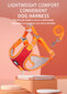Traksid koertele rihmaga Doumm, oranž hind ja info | Kaelarihmad ja traksid koertele | kaup24.ee