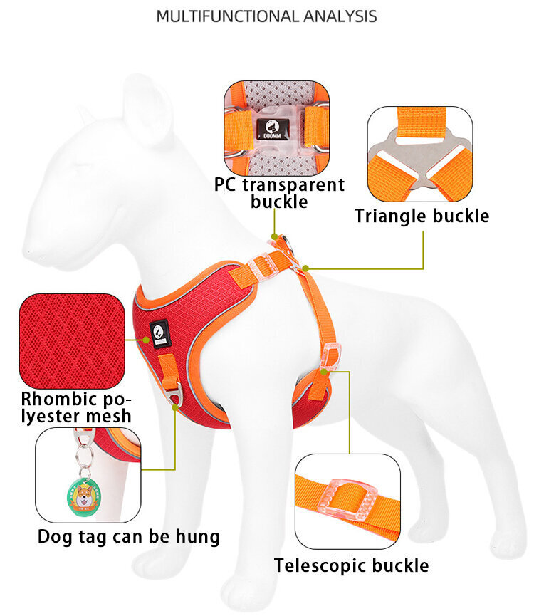 Traksid koertele rihmaga Doumm, oranž hind ja info | Kaelarihmad ja traksid koertele | kaup24.ee